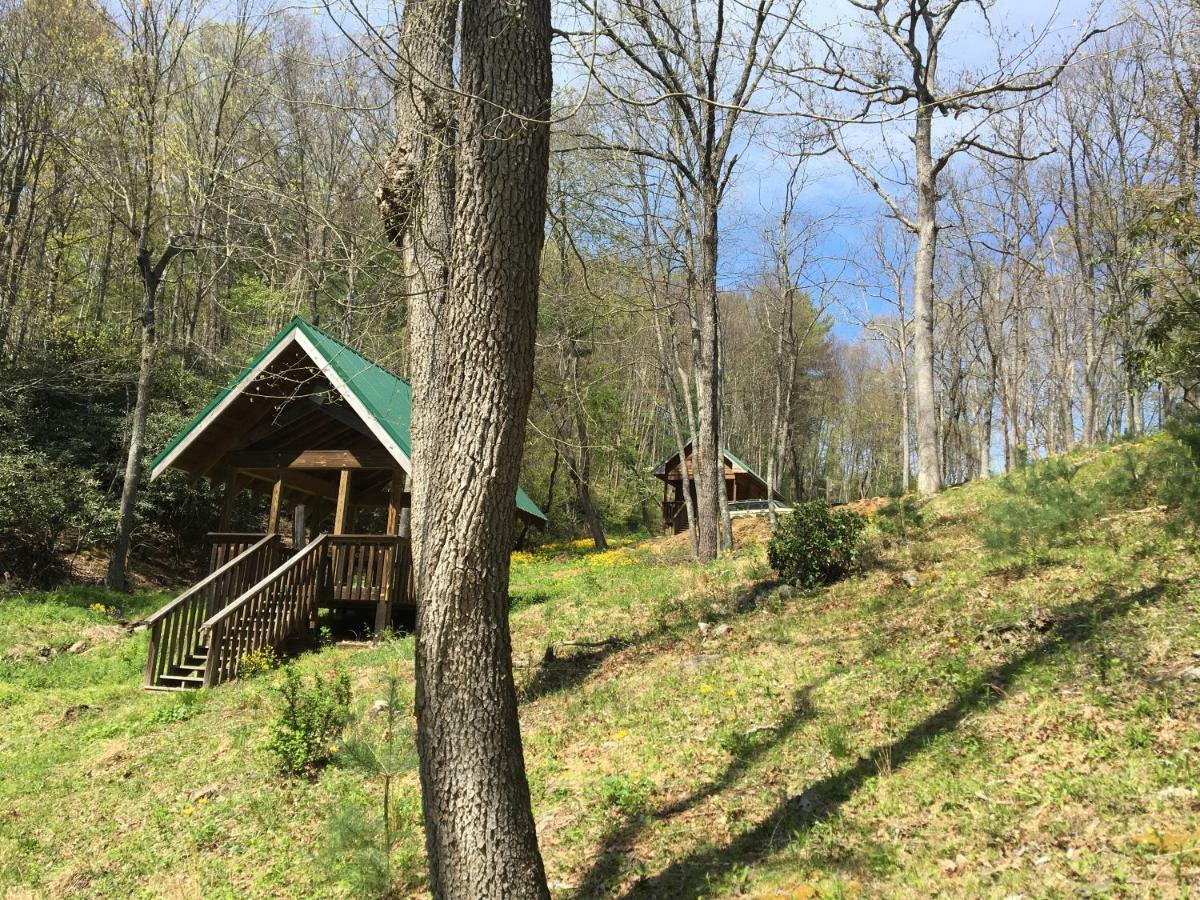 Little River Cabin Sparta Buitenkant foto